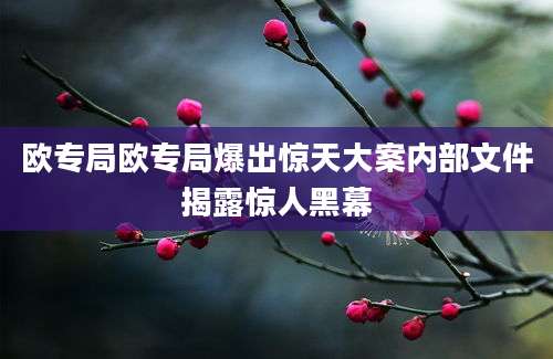欧专局欧专局爆出惊天大案内部文件揭露惊人黑幕