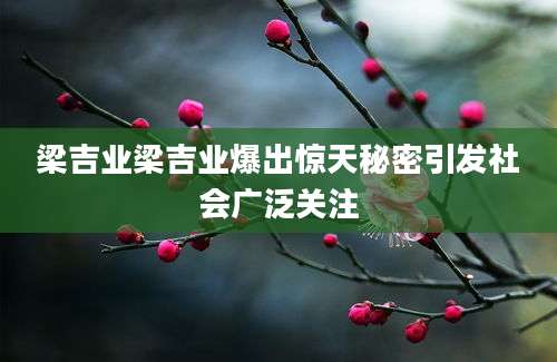 梁吉业梁吉业爆出惊天秘密引发社会广泛关注