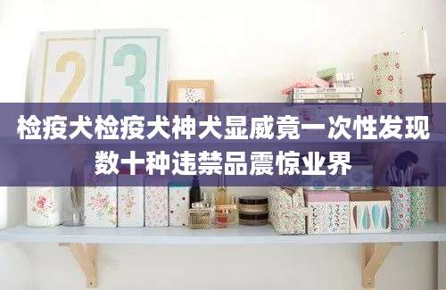 检疫犬检疫犬神犬显威竟一次性发现数十种违禁品震惊业界