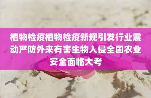植物检疫植物检疫新规引发行业震动严防外来有害生物入侵全国农业安全面临大考
