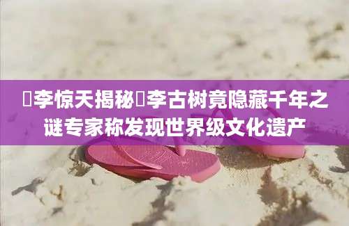 檇李惊天揭秘檇李古树竟隐藏千年之谜专家称发现世界级文化遗产