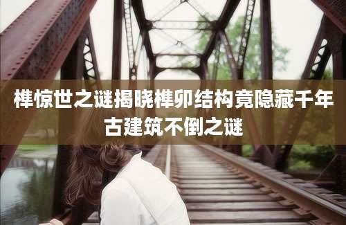 榫惊世之谜揭晓榫卯结构竟隐藏千年古建筑不倒之谜