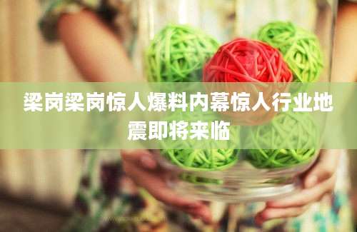 梁岗梁岗惊人爆料内幕惊人行业地震即将来临