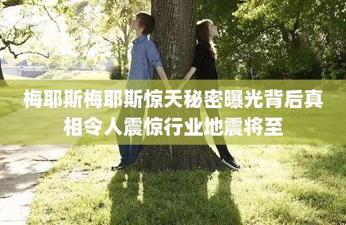 梅耶斯梅耶斯惊天秘密曝光背后真相令人震惊行业地震将至