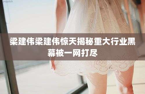 梁建伟梁建伟惊天揭秘重大行业黑幕被一网打尽