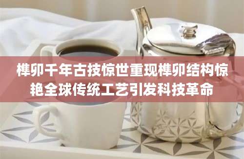 榫卯千年古技惊世重现榫卯结构惊艳全球传统工艺引发科技革命