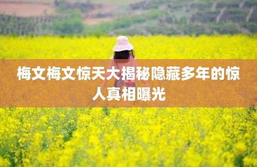 梅文梅文惊天大揭秘隐藏多年的惊人真相曝光