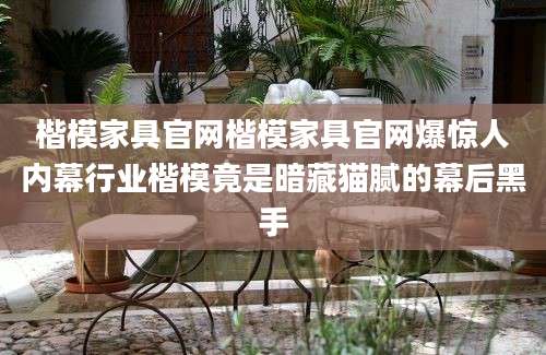 楷模家具官网楷模家具官网爆惊人内幕行业楷模竟是暗藏猫腻的幕后黑手