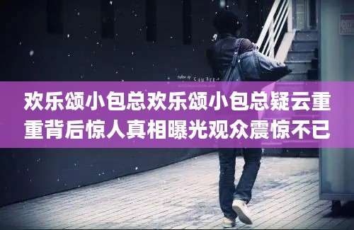 欢乐颂小包总欢乐颂小包总疑云重重背后惊人真相曝光观众震惊不已