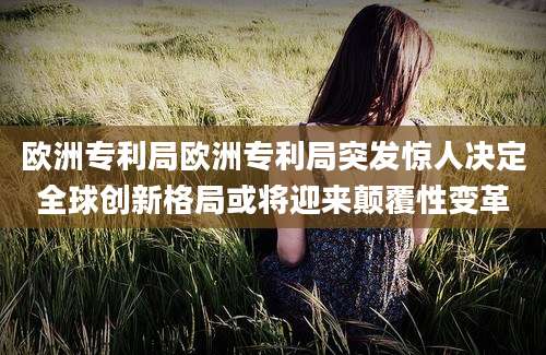 欧洲专利局欧洲专利局突发惊人决定全球创新格局或将迎来颠覆性变革
