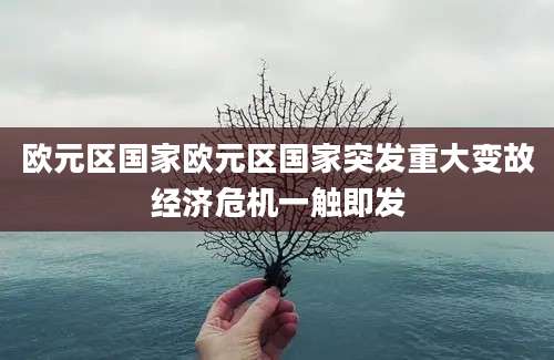 欧元区国家欧元区国家突发重大变故经济危机一触即发