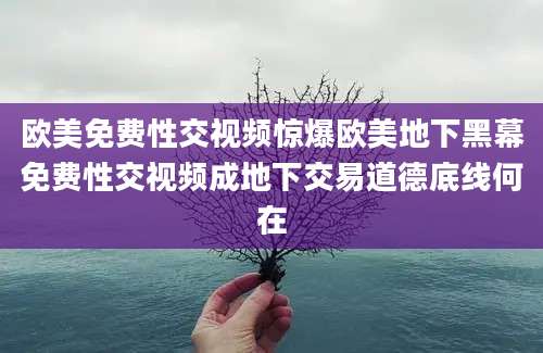 欧美免费性交视频惊爆欧美地下黑幕免费性交视频成地下交易道德底线何在