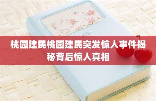 桃园建民桃园建民突发惊人事件揭秘背后惊人真相