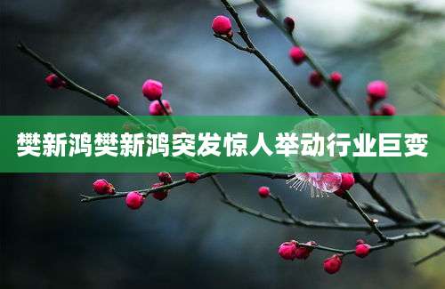 樊新鸿樊新鸿突发惊人举动行业巨变