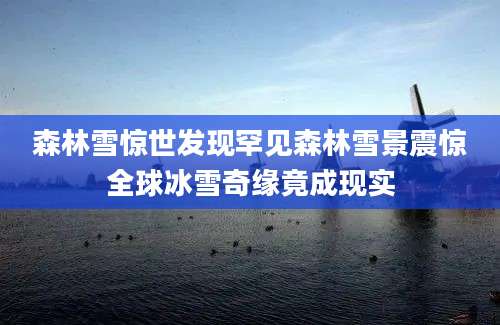 森林雪惊世发现罕见森林雪景震惊全球冰雪奇缘竟成现实