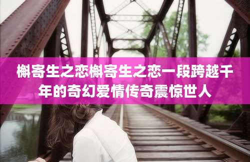 槲寄生之恋槲寄生之恋一段跨越千年的奇幻爱情传奇震惊世人