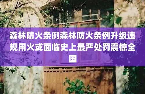 森林防火条例森林防火条例升级违规用火或面临史上最严处罚震惊全国