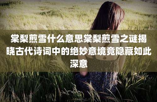 棠梨煎雪什么意思棠梨煎雪之谜揭晓古代诗词中的绝妙意境竟隐藏如此深意
