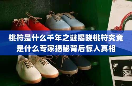 桃符是什么千年之谜揭晓桃符究竟是什么专家揭秘背后惊人真相
