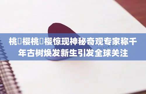 桃沢樱桃沢樱惊现神秘奇观专家称千年古树焕发新生引发全球关注