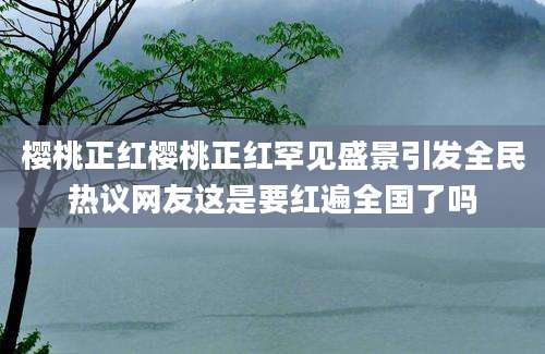 樱桃正红樱桃正红罕见盛景引发全民热议网友这是要红遍全国了吗