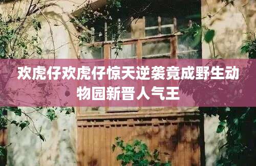 欢虎仔欢虎仔惊天逆袭竟成野生动物园新晋人气王