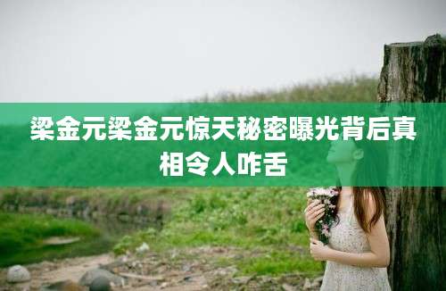 梁金元梁金元惊天秘密曝光背后真相令人咋舌