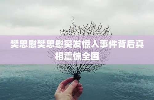 樊忠慰樊忠慰突发惊人事件背后真相震惊全国