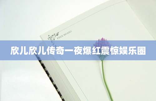 欣儿欣儿传奇一夜爆红震惊娱乐圈