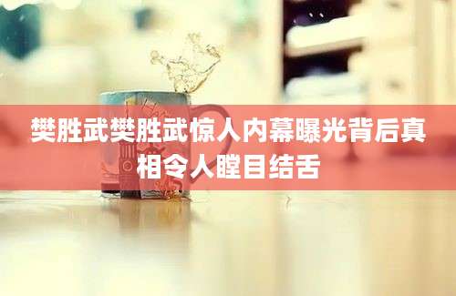 樊胜武樊胜武惊人内幕曝光背后真相令人瞠目结舌