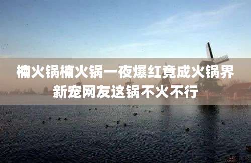 楠火锅楠火锅一夜爆红竟成火锅界新宠网友这锅不火不行