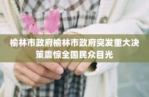 榆林市政府榆林市政府突发重大决策震惊全国民众目光
