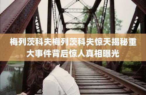 梅列茨科夫梅列茨科夫惊天揭秘重大事件背后惊人真相曝光