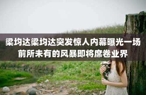梁均达梁均达突发惊人内幕曝光一场前所未有的风暴即将席卷业界