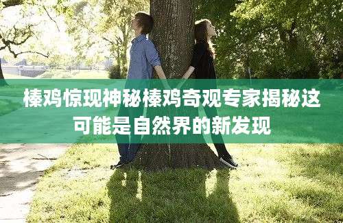 榛鸡惊现神秘榛鸡奇观专家揭秘这可能是自然界的新发现