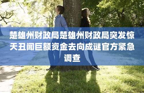 楚雄州财政局楚雄州财政局突发惊天丑闻巨额资金去向成谜官方紧急调查