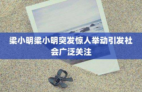 梁小明梁小明突发惊人举动引发社会广泛关注