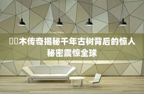 楢楢木传奇揭秘千年古树背后的惊人秘密震惊全球