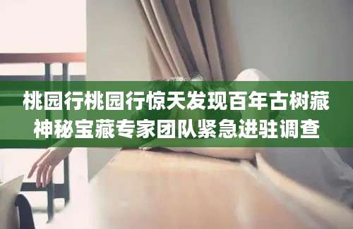 桃园行桃园行惊天发现百年古树藏神秘宝藏专家团队紧急进驻调查