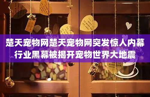 楚天宠物网楚天宠物网突发惊人内幕行业黑幕被揭开宠物世界大地震