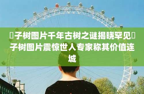 棬子树图片千年古树之谜揭晓罕见棬子树图片震惊世人专家称其价值连城