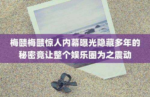 梅赜梅赜惊人内幕曝光隐藏多年的秘密竟让整个娱乐圈为之震动
