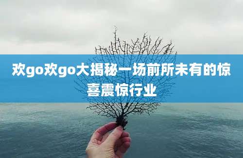 欢go欢go大揭秘一场前所未有的惊喜震惊行业