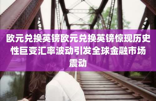 欧元兑换英镑欧元兑换英镑惊现历史性巨变汇率波动引发全球金融市场震动
