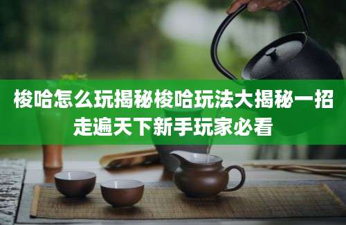 梭哈怎么玩揭秘梭哈玩法大揭秘一招走遍天下新手玩家必看