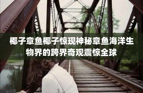 椰子章鱼椰子惊现神秘章鱼海洋生物界的跨界奇观震惊全球