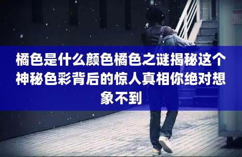 橘色是什么颜色橘色之谜揭秘这个神秘色彩背后的惊人真相你绝对想象不到