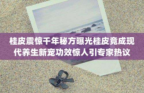 桂皮震惊千年秘方曝光桂皮竟成现代养生新宠功效惊人引专家热议