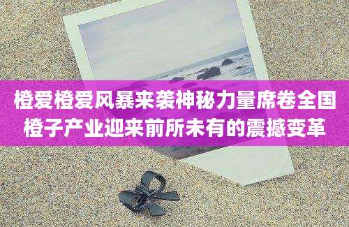橙爱橙爱风暴来袭神秘力量席卷全国橙子产业迎来前所未有的震撼变革