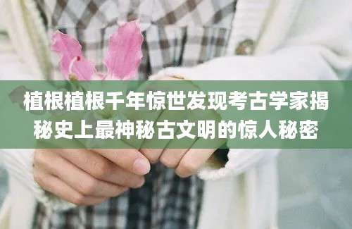 植根植根千年惊世发现考古学家揭秘史上最神秘古文明的惊人秘密